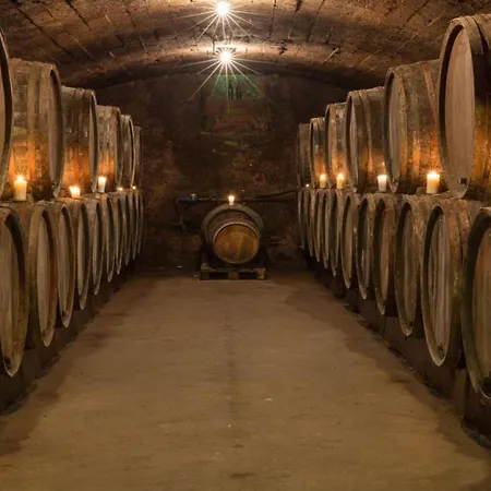 Apartamento Anton Zimmermann Winery *