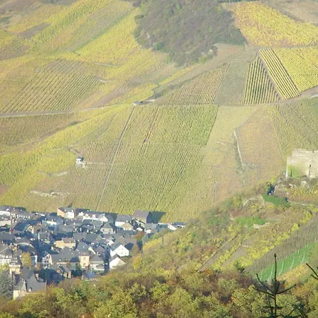 Anton Zimmermann Winery Apartment