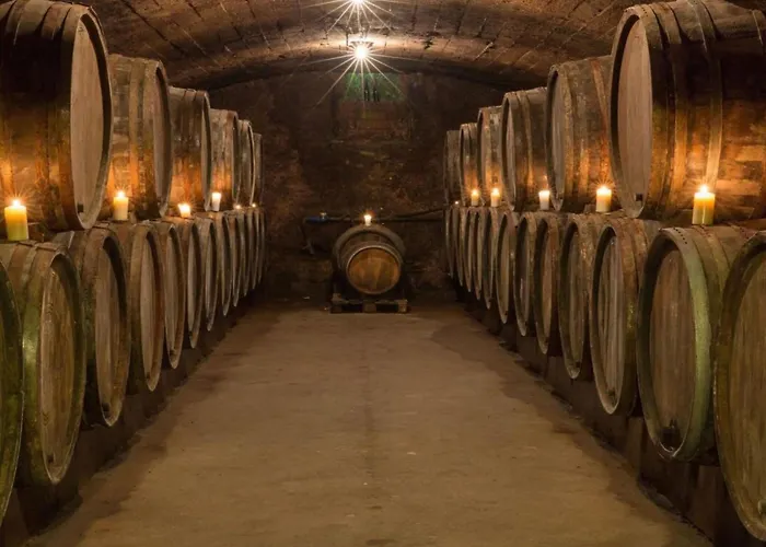 아파트 Anton Zimmermann Winery *