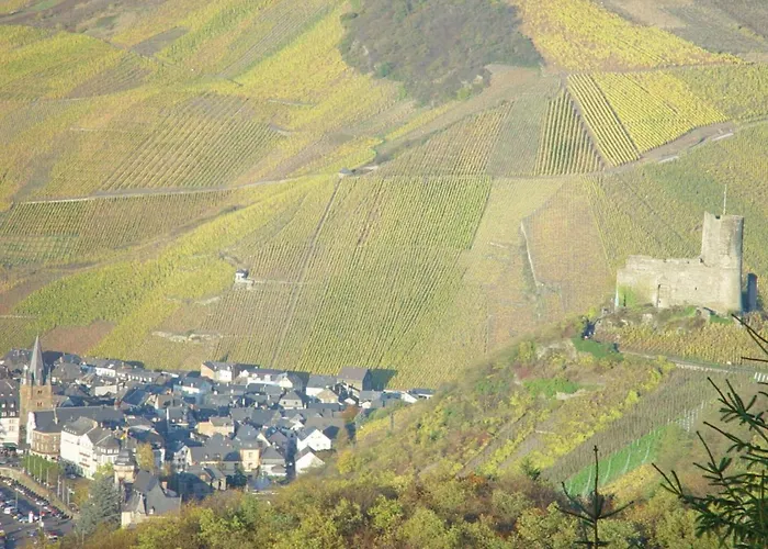 Anton Zimmermann Winery 아파트